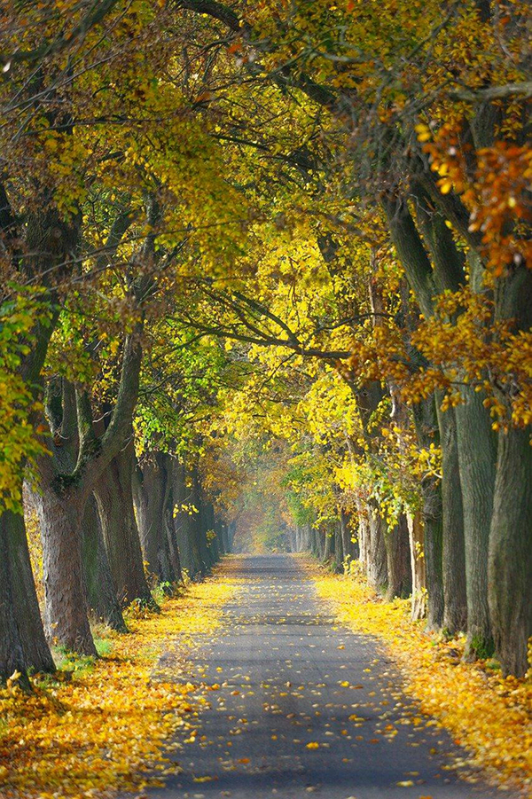 BROAD OR NARROW