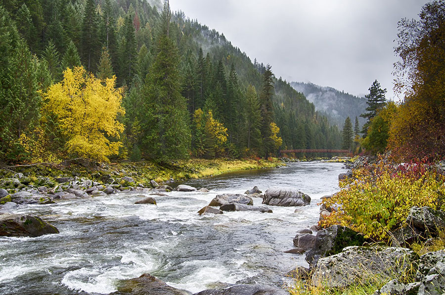 FLOWING RIVERS
