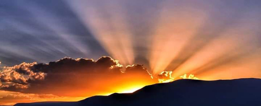 LIGHT OF THE WORLD