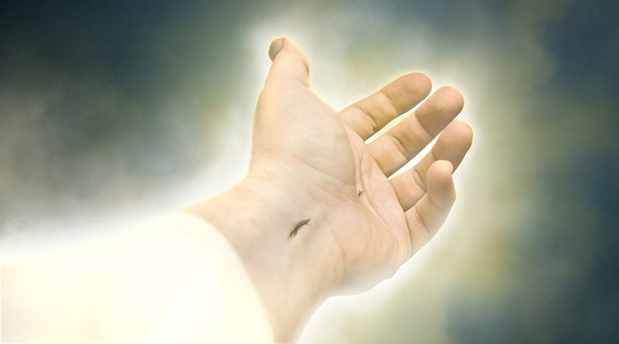 ON SUFFERING