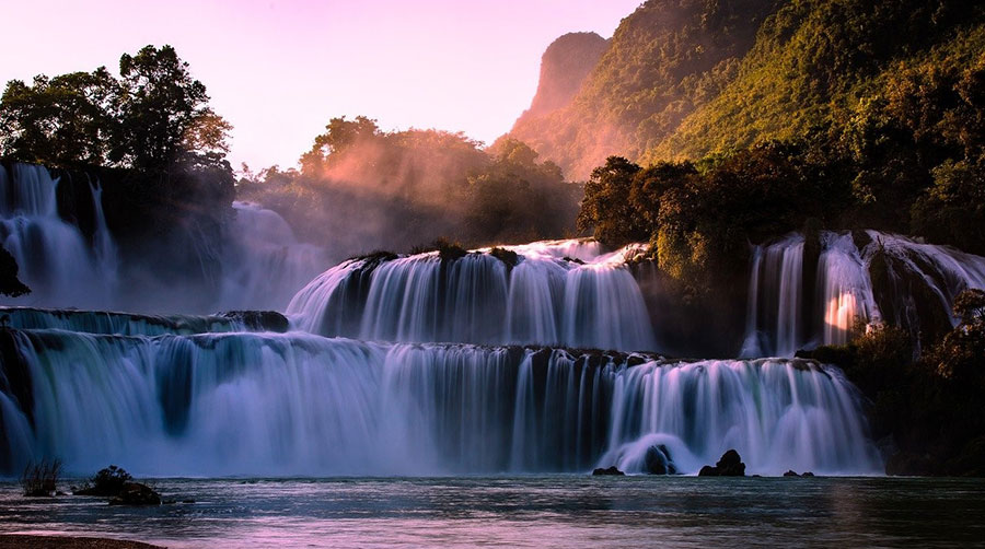 PUREST WATERS