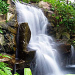 WATER OF LIFE