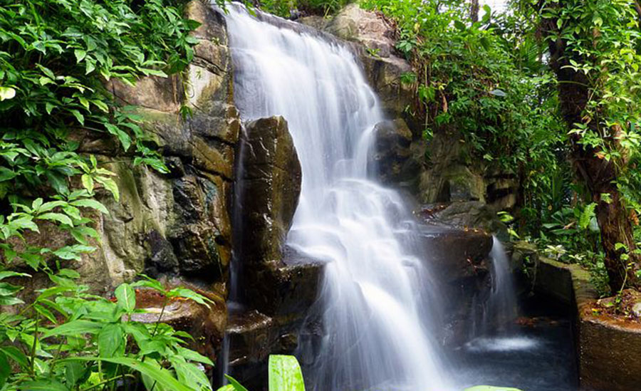 WATER OF LIFE